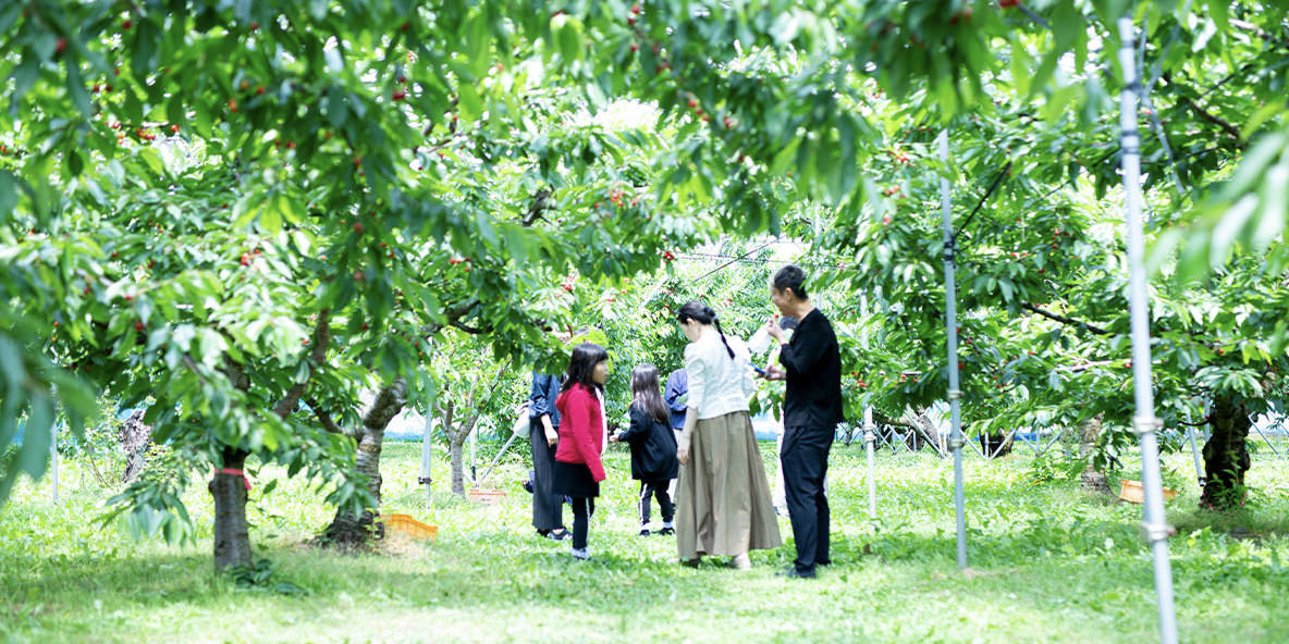 メゾンカカオ独自の制度